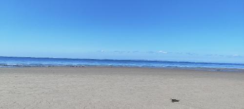 The beach