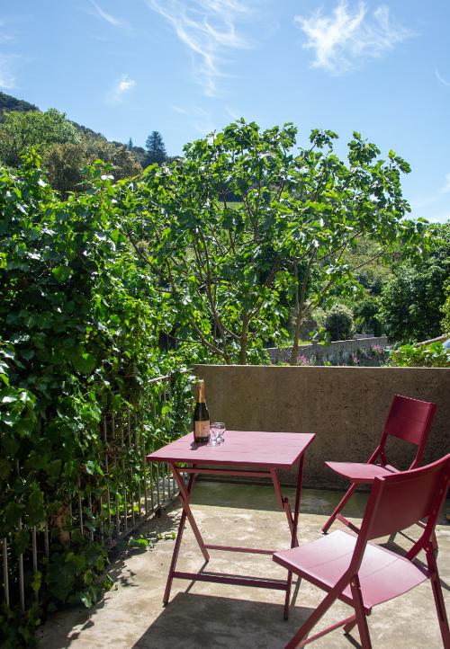 The terrace