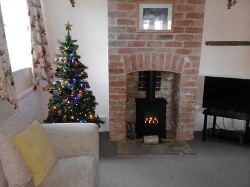 Christmas at Bear's Cottage in the Spring