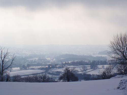 Misty winter scenery